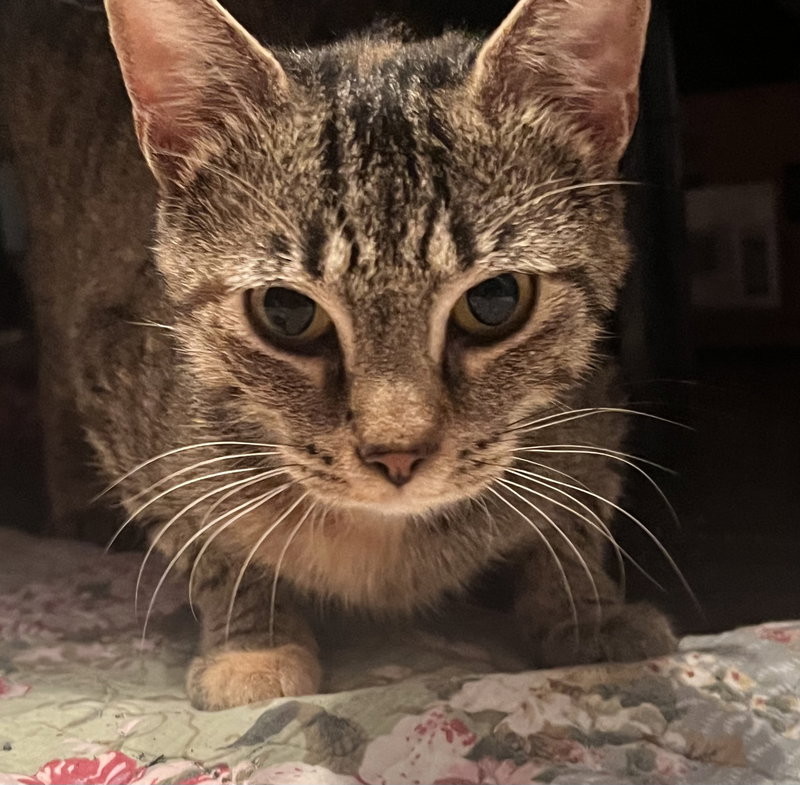 Mimi, photo 2