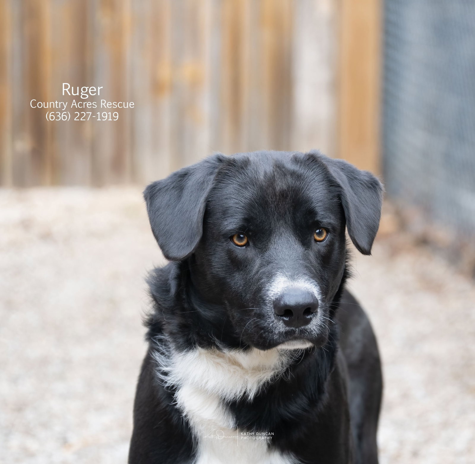 Ruger Image