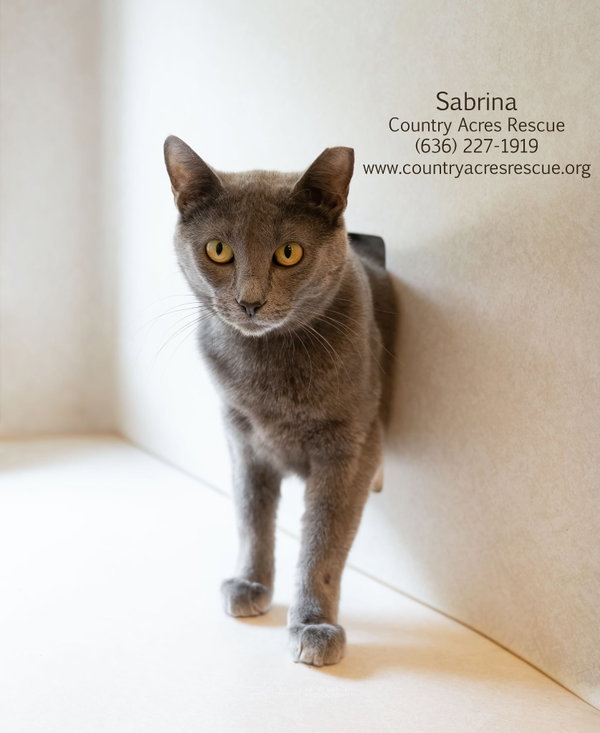 Sabrina