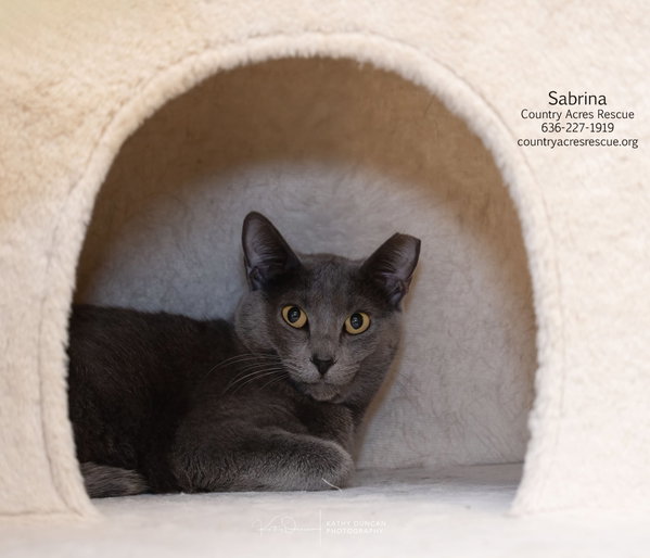 Sabrina