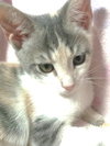 Lily