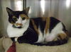 Patches