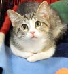 Oliver