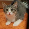 Oliver