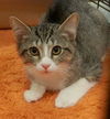 Oliver