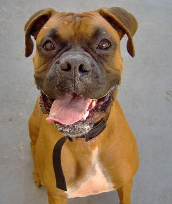 Max