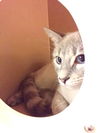 Oliver