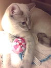 Oliver