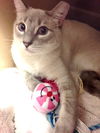 Oliver