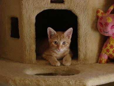 Opie