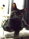 Buster