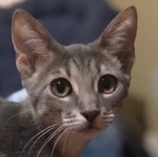 Matilda