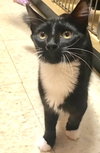 Pierre