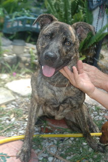 Coco '09