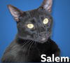 Salem