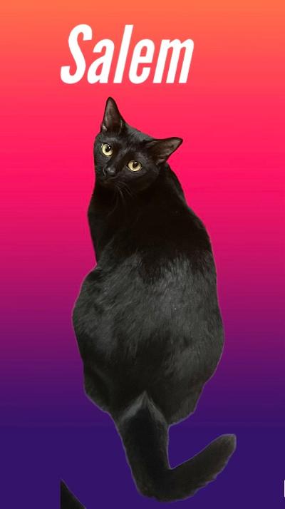 Salem