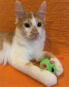 Franklin