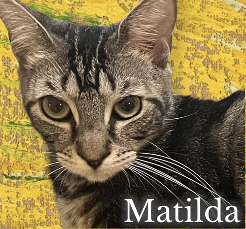 Matilda