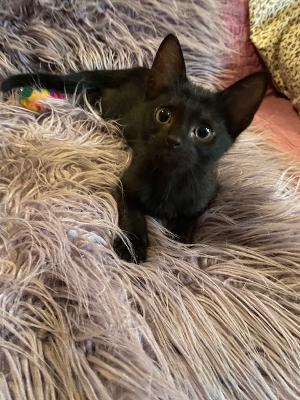 Binx