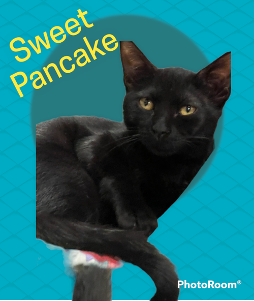 Pancake
