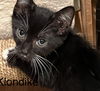 Klondike