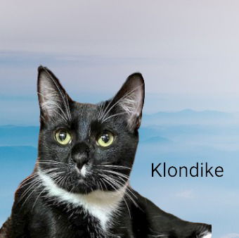 Klondike