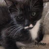 Ryker