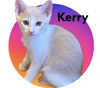 Kerry