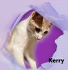 Kerry