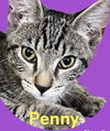Penny