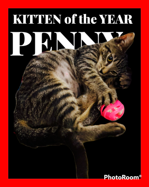 Penny