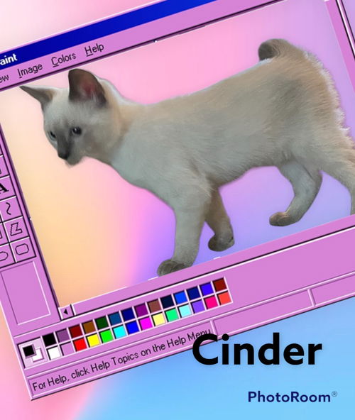 Cinder
