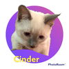 Cinder