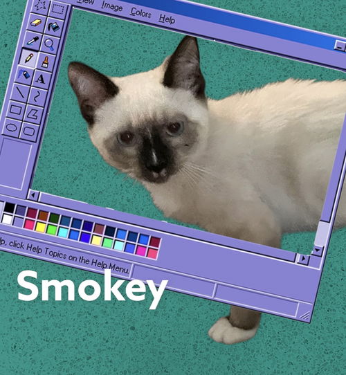 Smokey