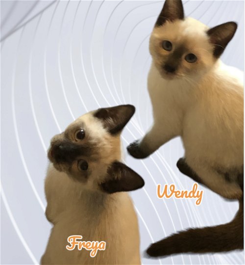 Freya & Wendy