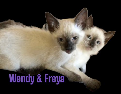 Wendy & Freya
