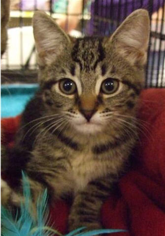Little Molly '09