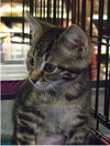Little Molly '09