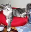 Shiloh