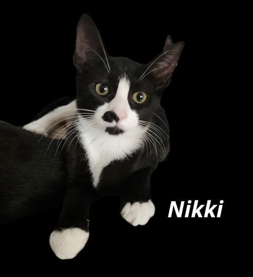 Nikki