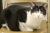 Matrix