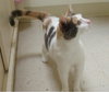 Peaches '09