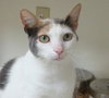 Peaches '09