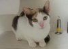 Peaches '09