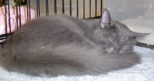 Logan '07