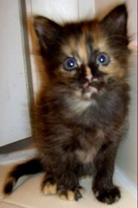 Molly '07