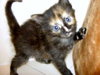 Molly '07