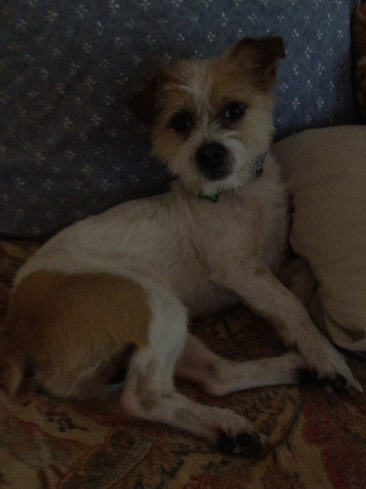 Mason