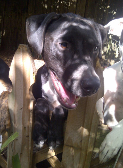 Mason