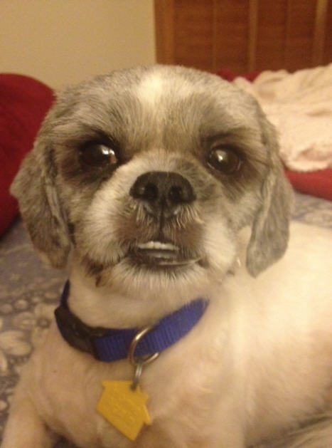 Max